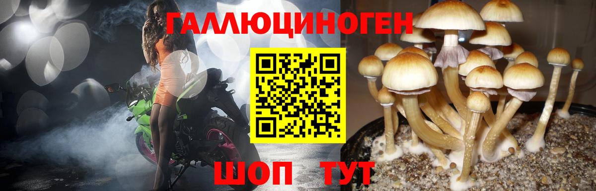 Наро-Фоминск  где купить   Вход с VPN  Галлюциногенные грибы мухоморы 